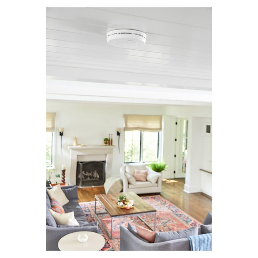 10-Year Battery Smoke and Carbon Monoxide Detector M819