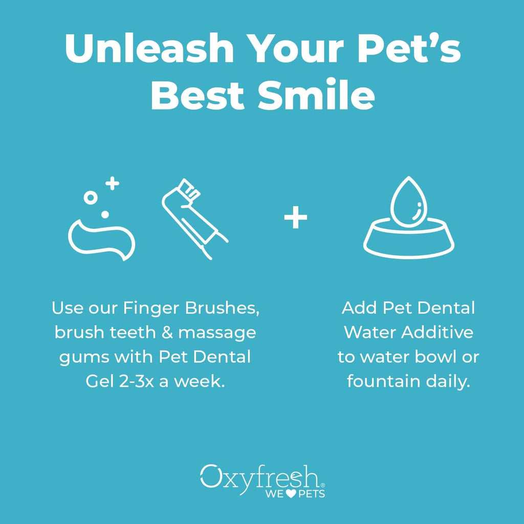 Pet Dental Kit 4oz Toothpaste + 16oz Water Additive A192054