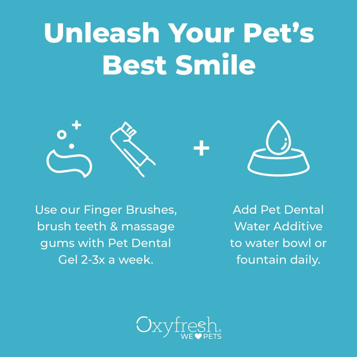 Pet Dental Kit 4oz Toothpaste + 16oz Water Additive A192054