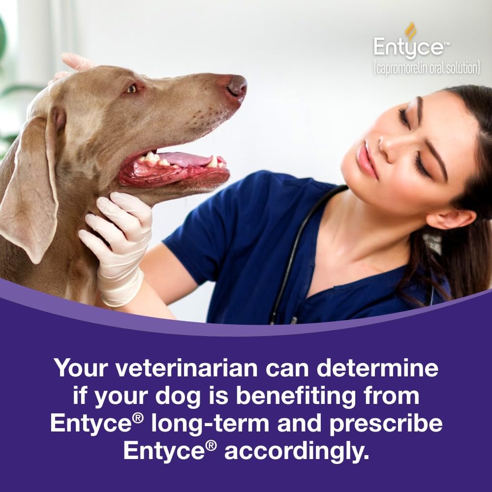 Dog Appetite Stimulant Oral Solution 30mg/ml 10 ml Y686127