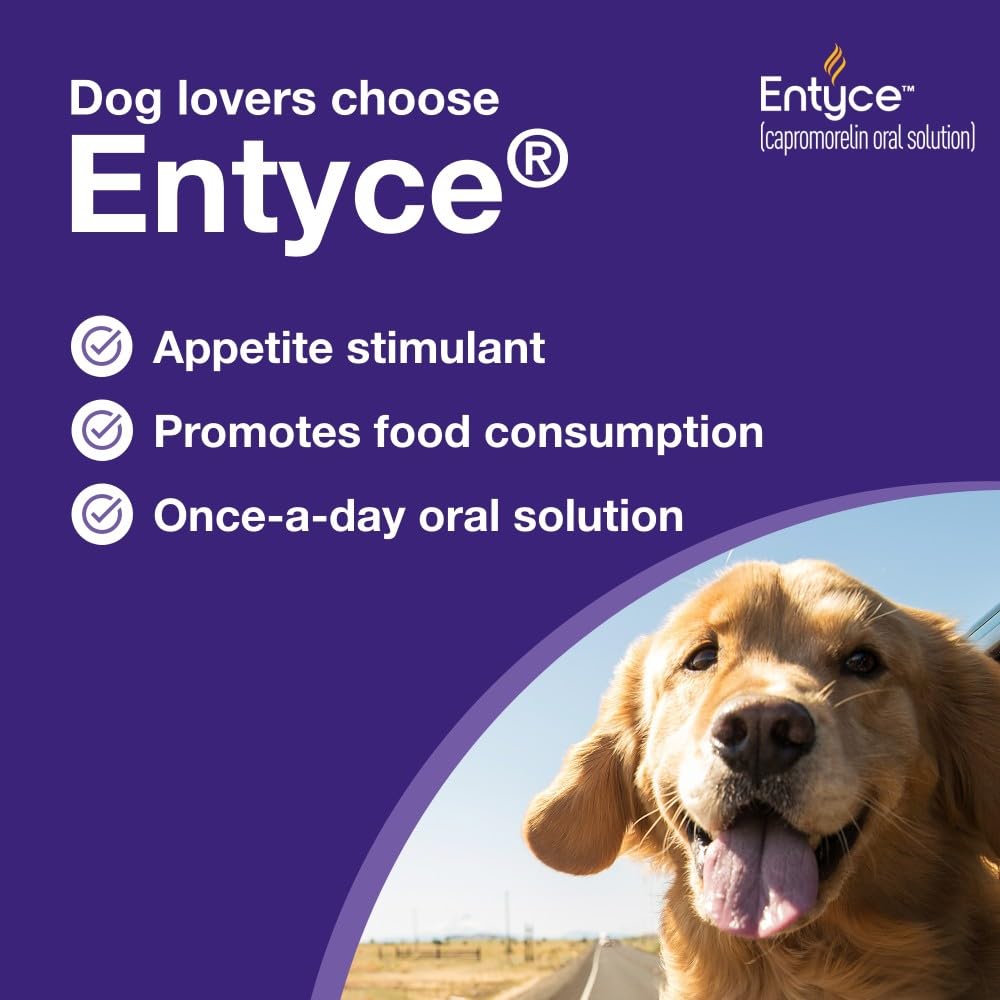 Dog Appetite Stimulant Oral Solution 30mg/ml 10 ml Y686127