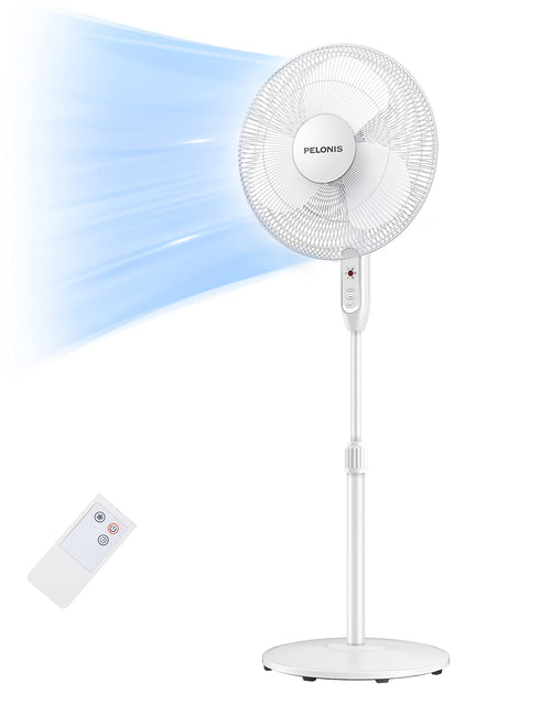 16'' Oscillating Pedestal Fan and 12-Inch Oscillating Table Fan C808616