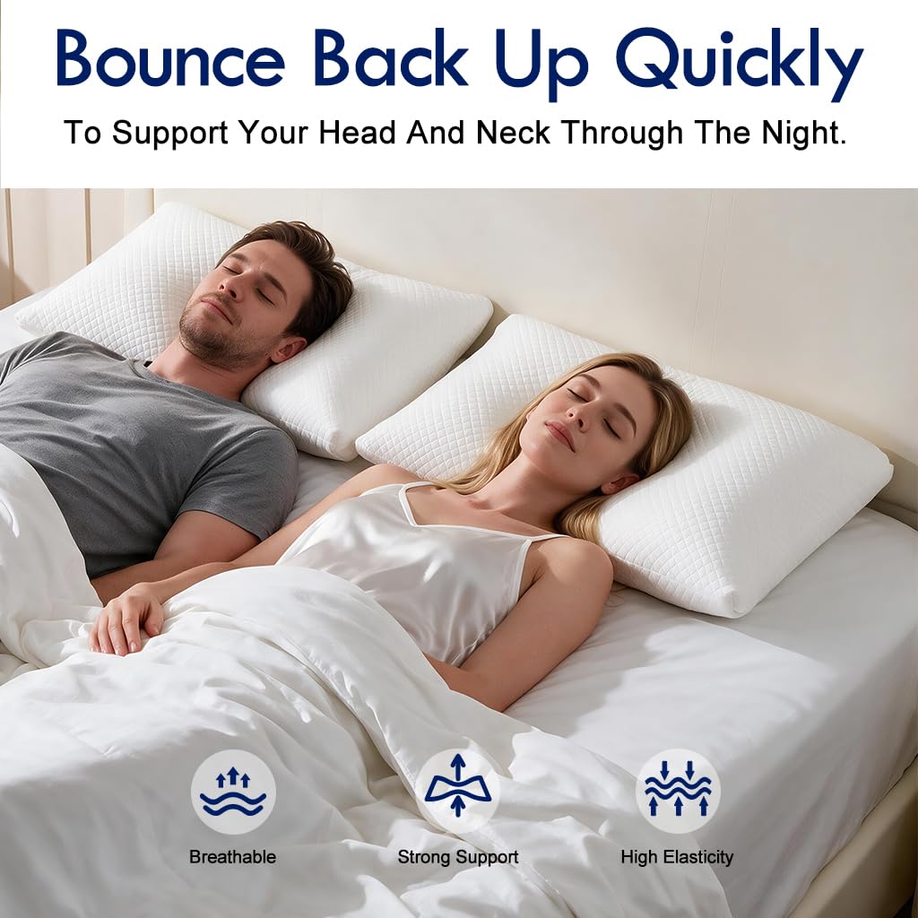 King Size Down Alternative Pillows Set of 2 P960
