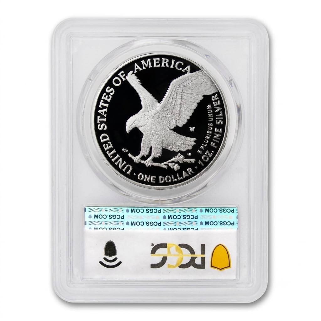 1 oz American Silver Eagle Proof Q307