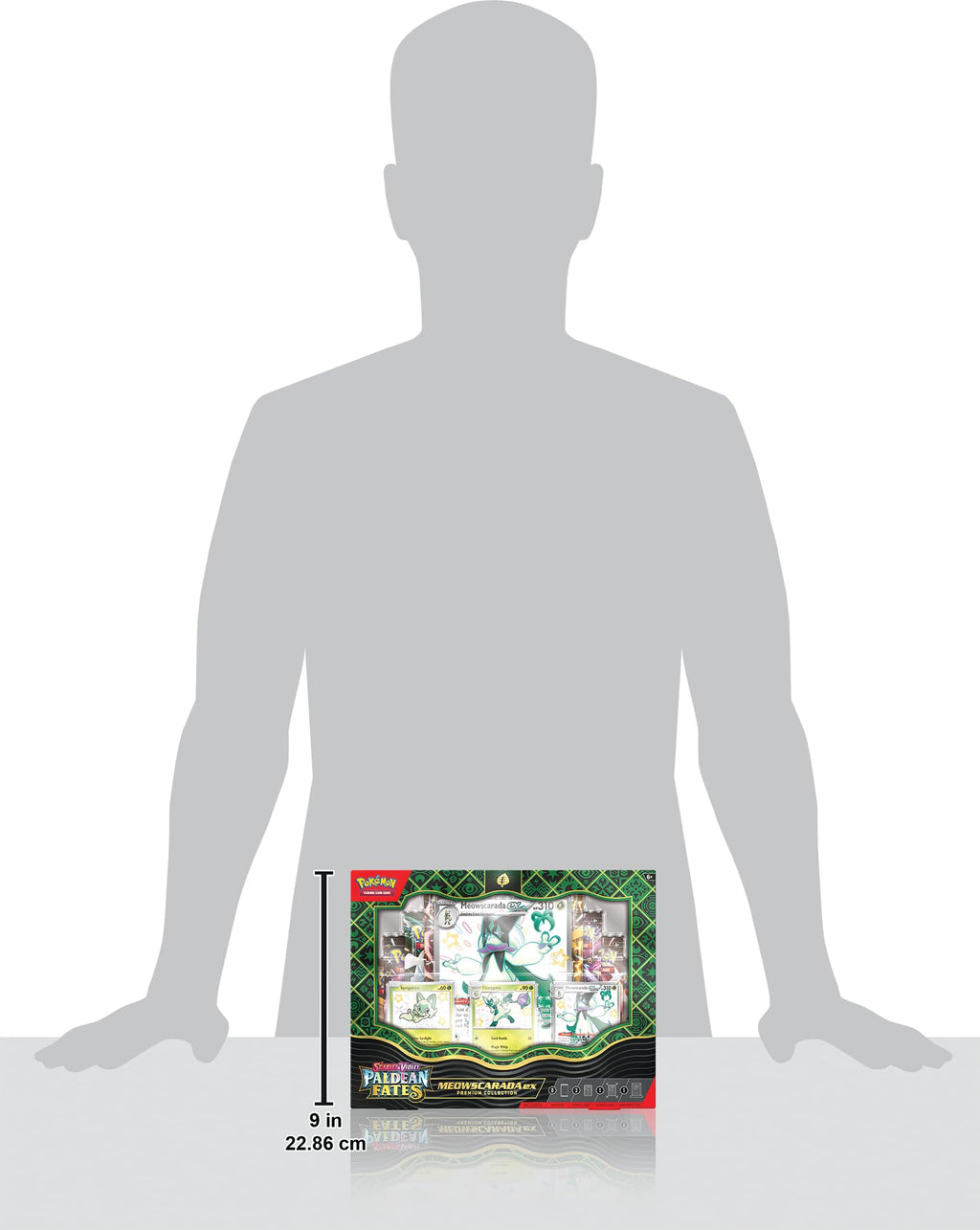 Pokemon TCG Premium Collection V963477