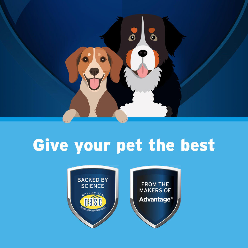 Small Dog Flea and Tick Treatment 6-Mo Supply + Omega 3 Supplement 60 Capsules Y9552