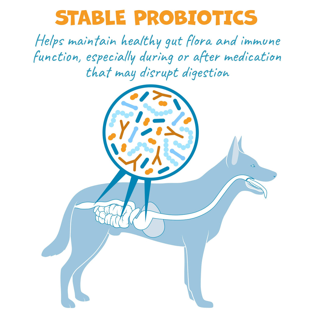 Probiotic Bacon Pill Wrap for Dogs 4.2oz M1935