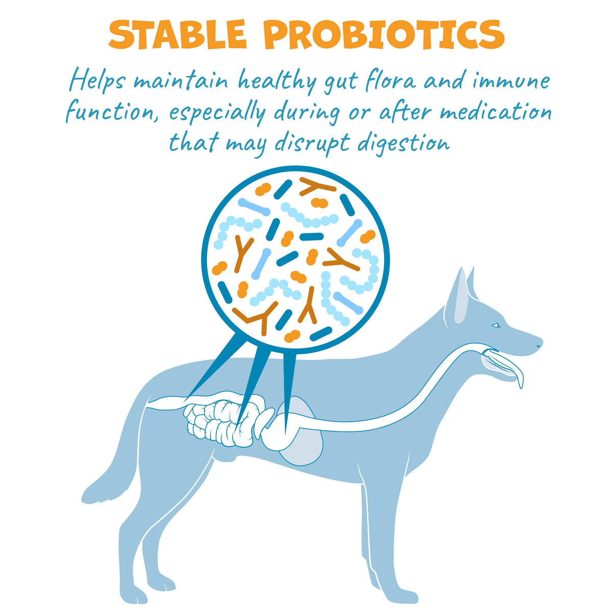 Probiotic Bacon Pill Wrap for Dogs 4.2oz M1935