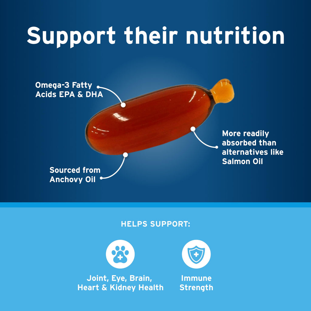 Small Dog Flea and Tick Treatment 6-Mo Supply + Omega 3 Supplement 60 Capsules Y9552