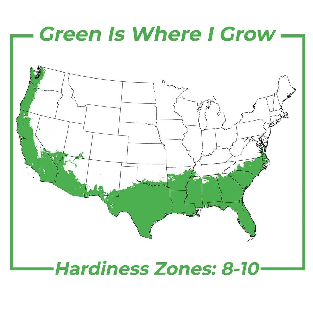 Fragrant Shrub O582955