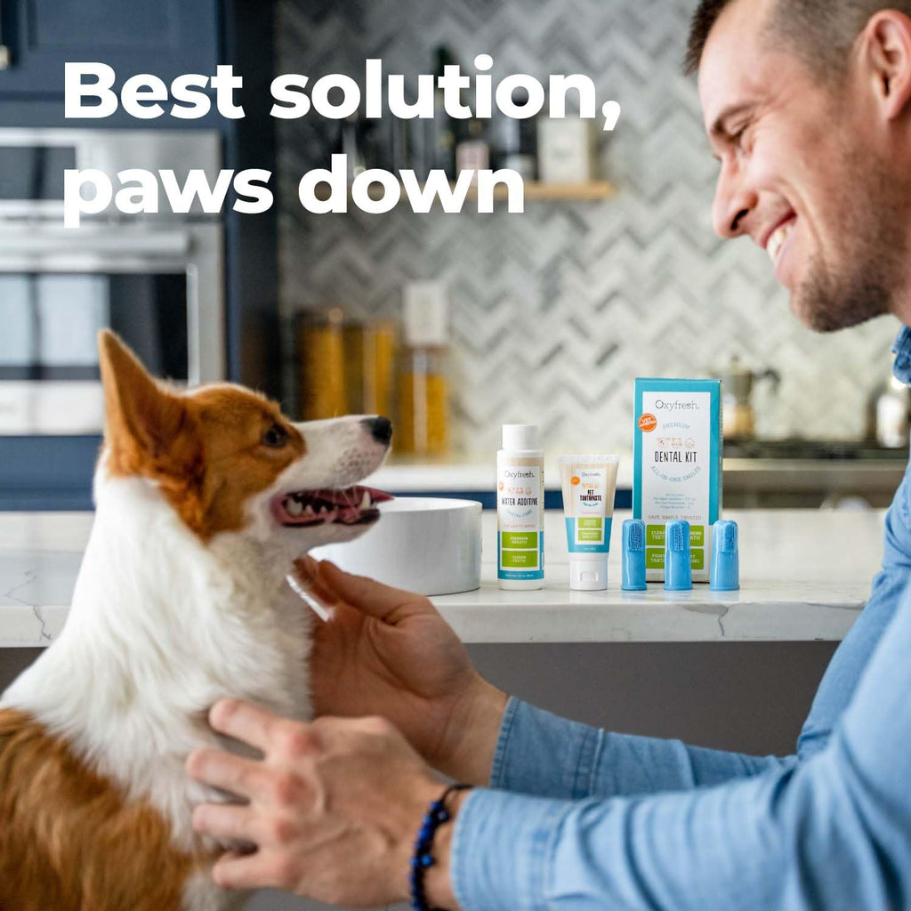 Pet Dental Kit 4oz Toothpaste + 16oz Water Additive A192054