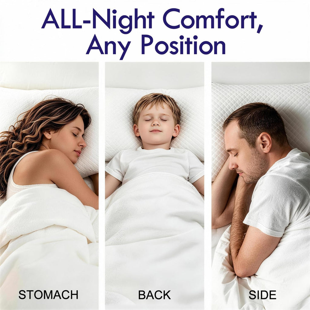 King Size Down Alternative Pillows Set of 2 P960