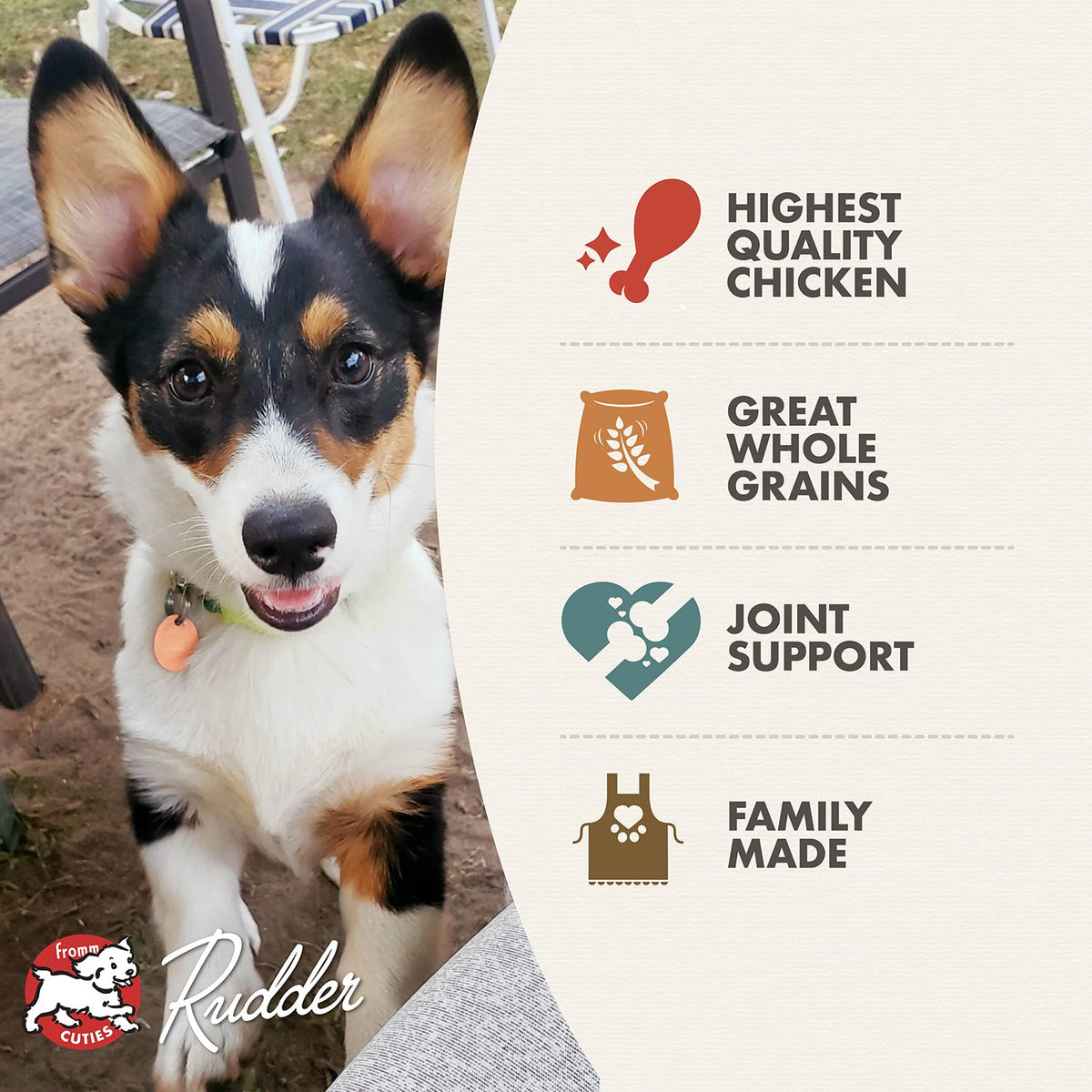 Dry Puppy Food Chicken Recipe 15 lb S866125