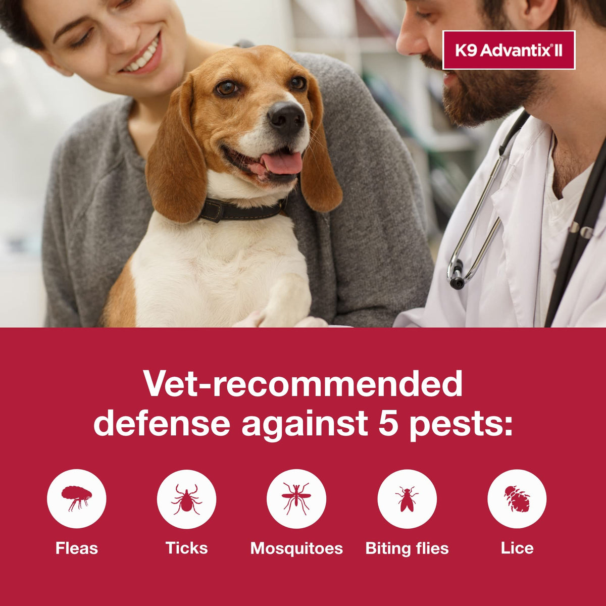 Small Dog Flea and Tick Treatment 6-Mo Supply + Omega 3 Supplement 60 Capsules Y9552