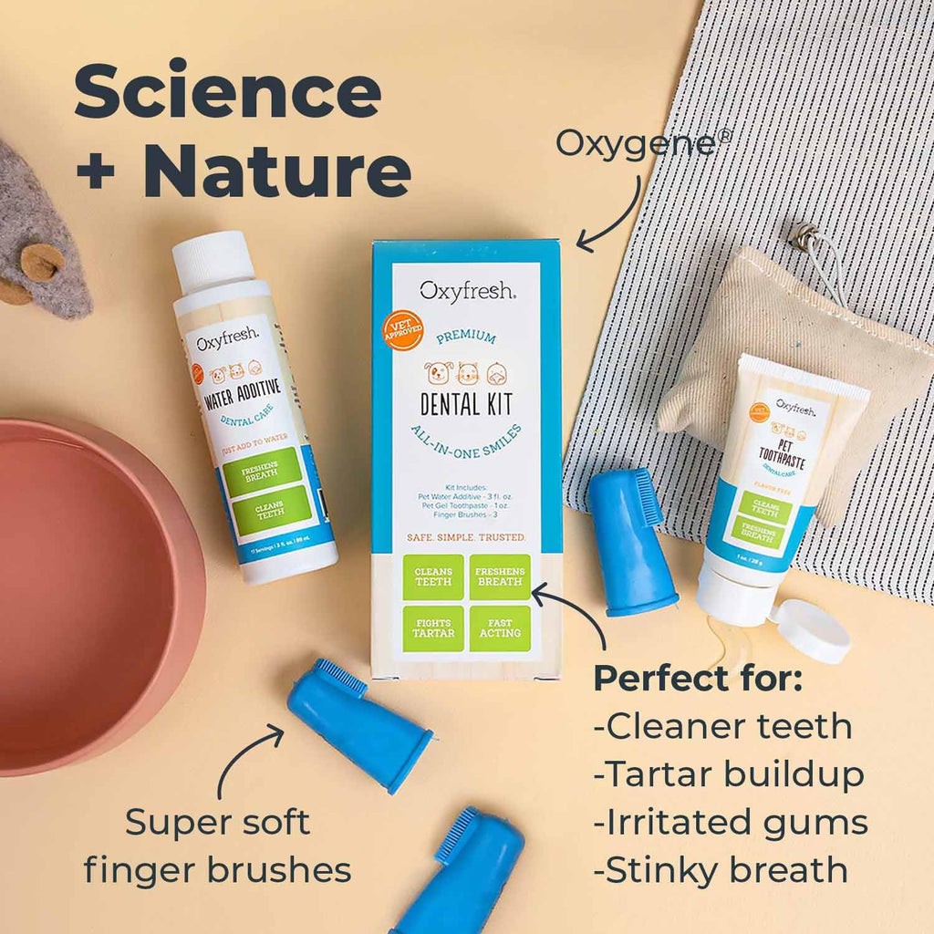 Pet Dental Kit 4oz Toothpaste + 16oz Water Additive A192054