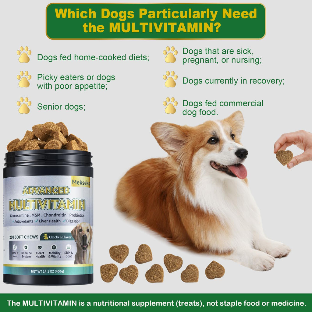 24-in-1 Multivitamin Chews for Dogs O907