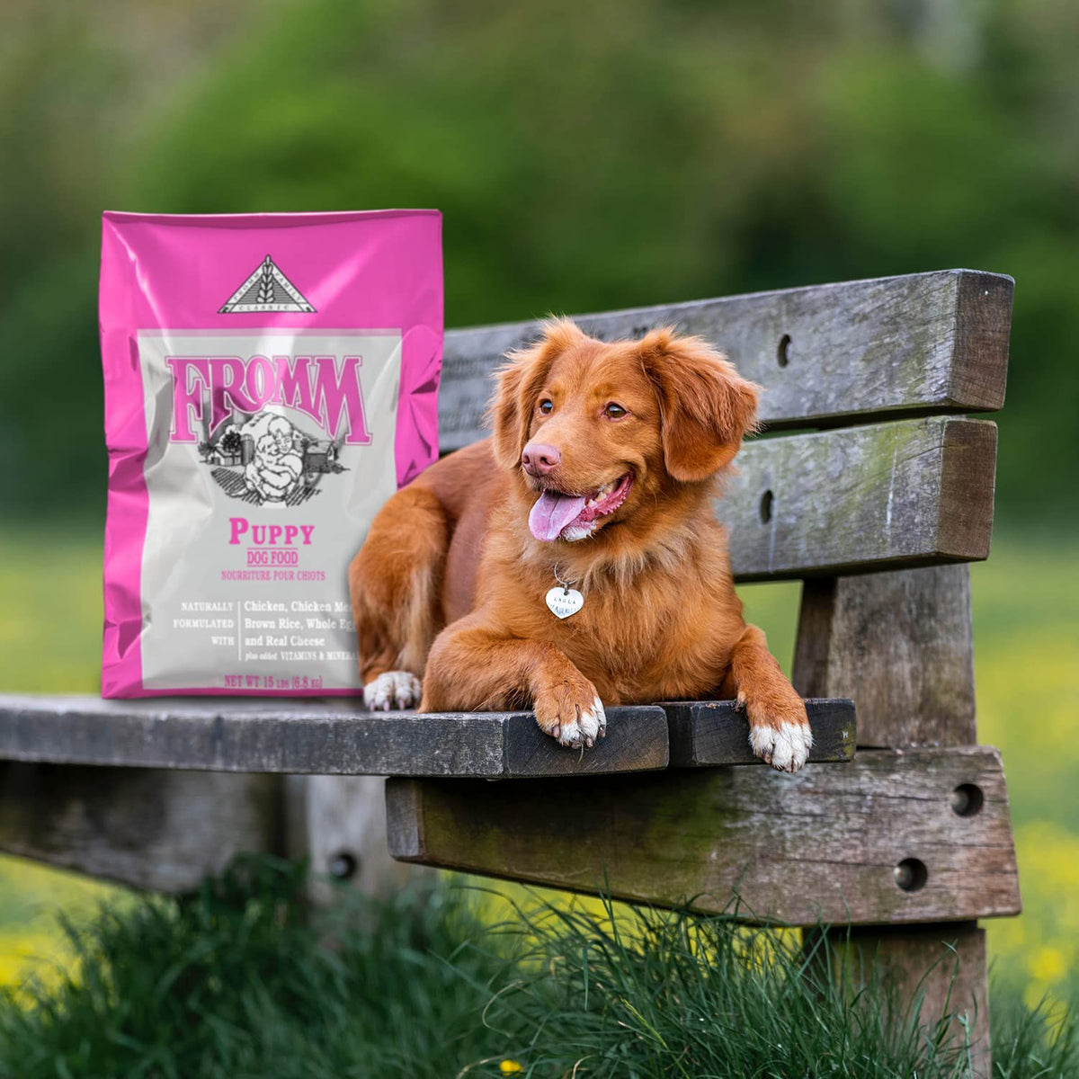 Dry Puppy Food Chicken Recipe 15 lb S866125