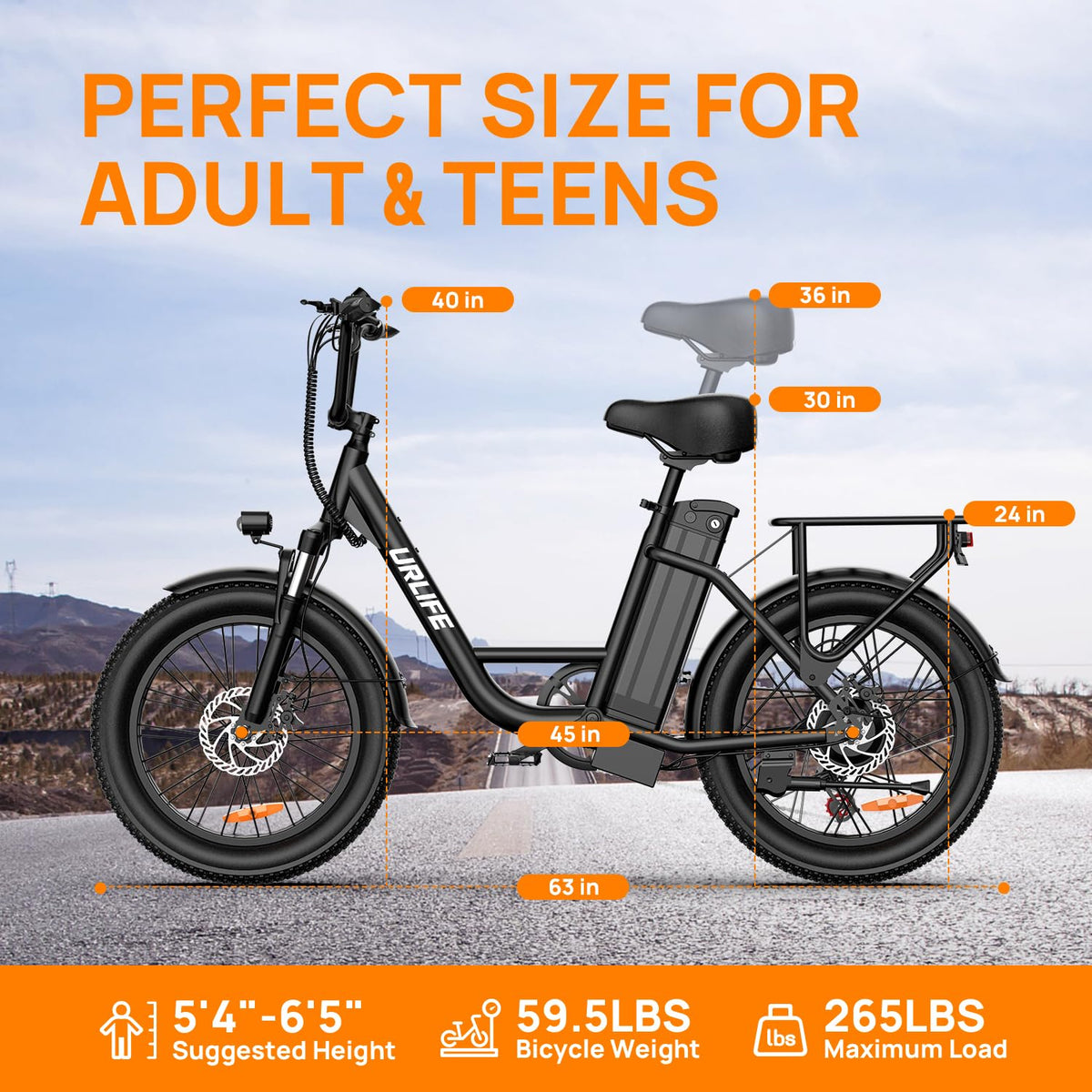 20" Fat Tire Electric Bike with 1000W Motor C433615