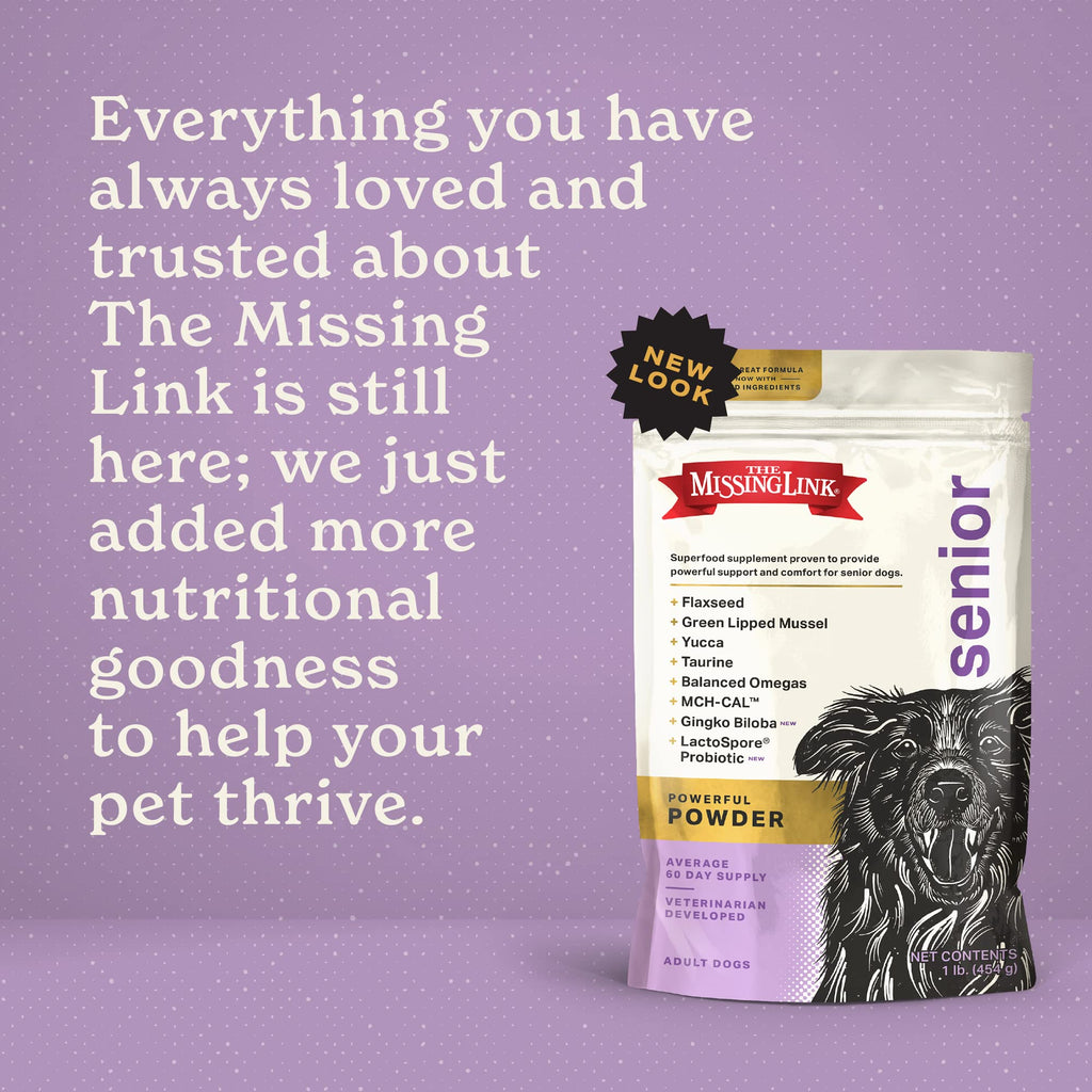 Senior Dog Supplement Powder 1lb Bag O738