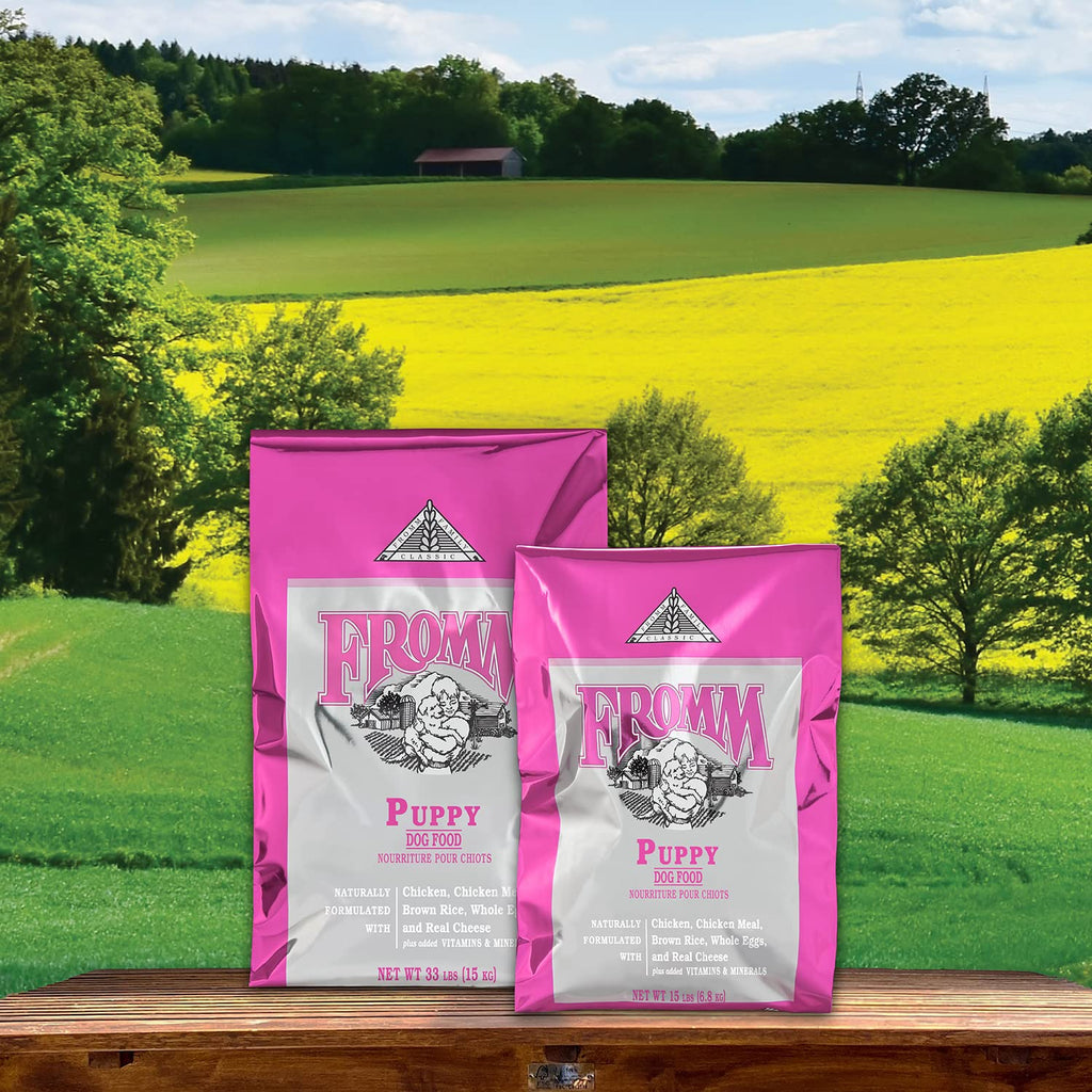 Dry Puppy Food Chicken Recipe 15 lb S866125