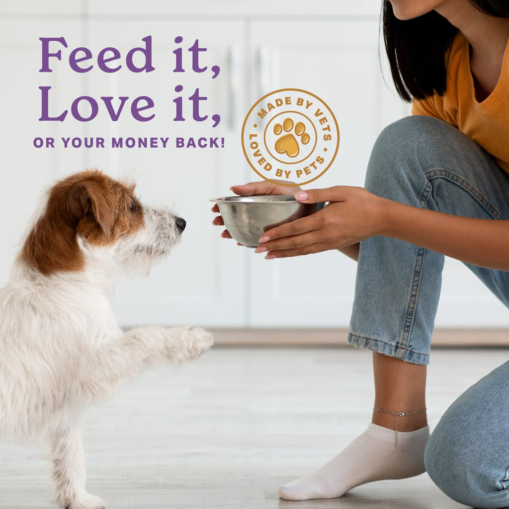 Senior Dog Supplement Powder 1lb Bag O738