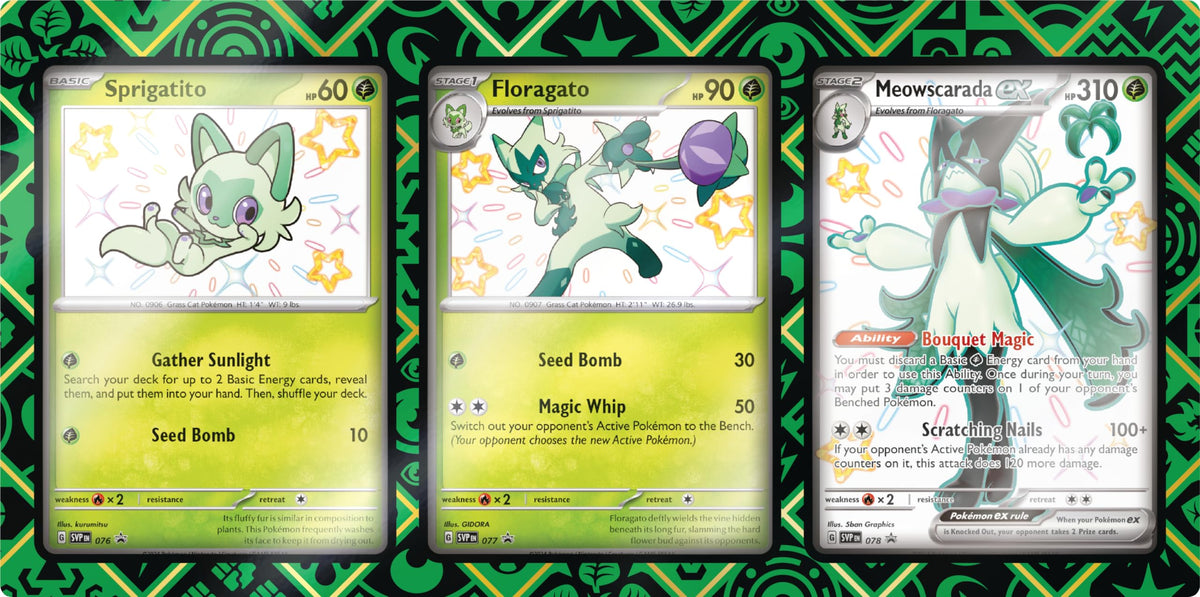 Pokemon TCG Premium Collection V963477