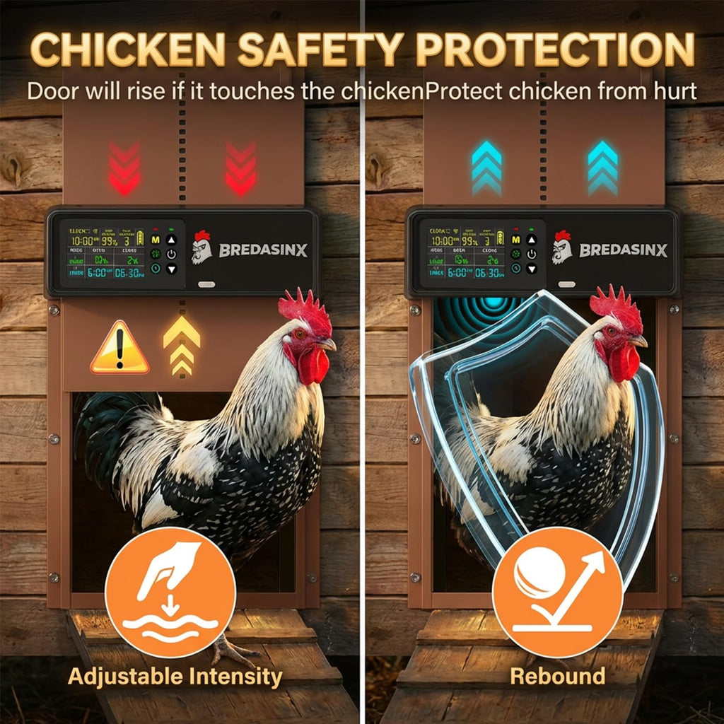 Automatic Chicken Coop Door L33864