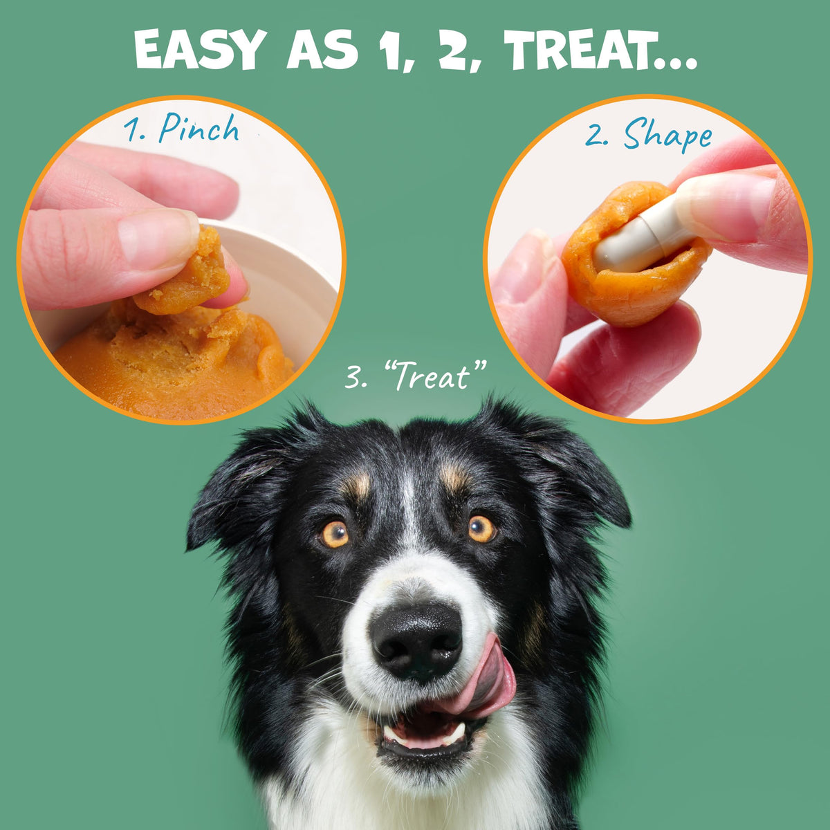 Probiotic Bacon Pill Wrap for Dogs 4.2oz M1935