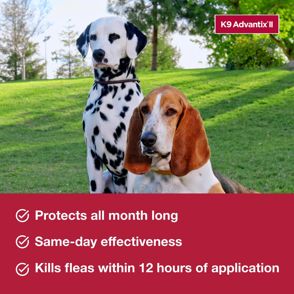Small Dog Flea and Tick Treatment 6-Mo Supply + Omega 3 Supplement 60 Capsules Y9552