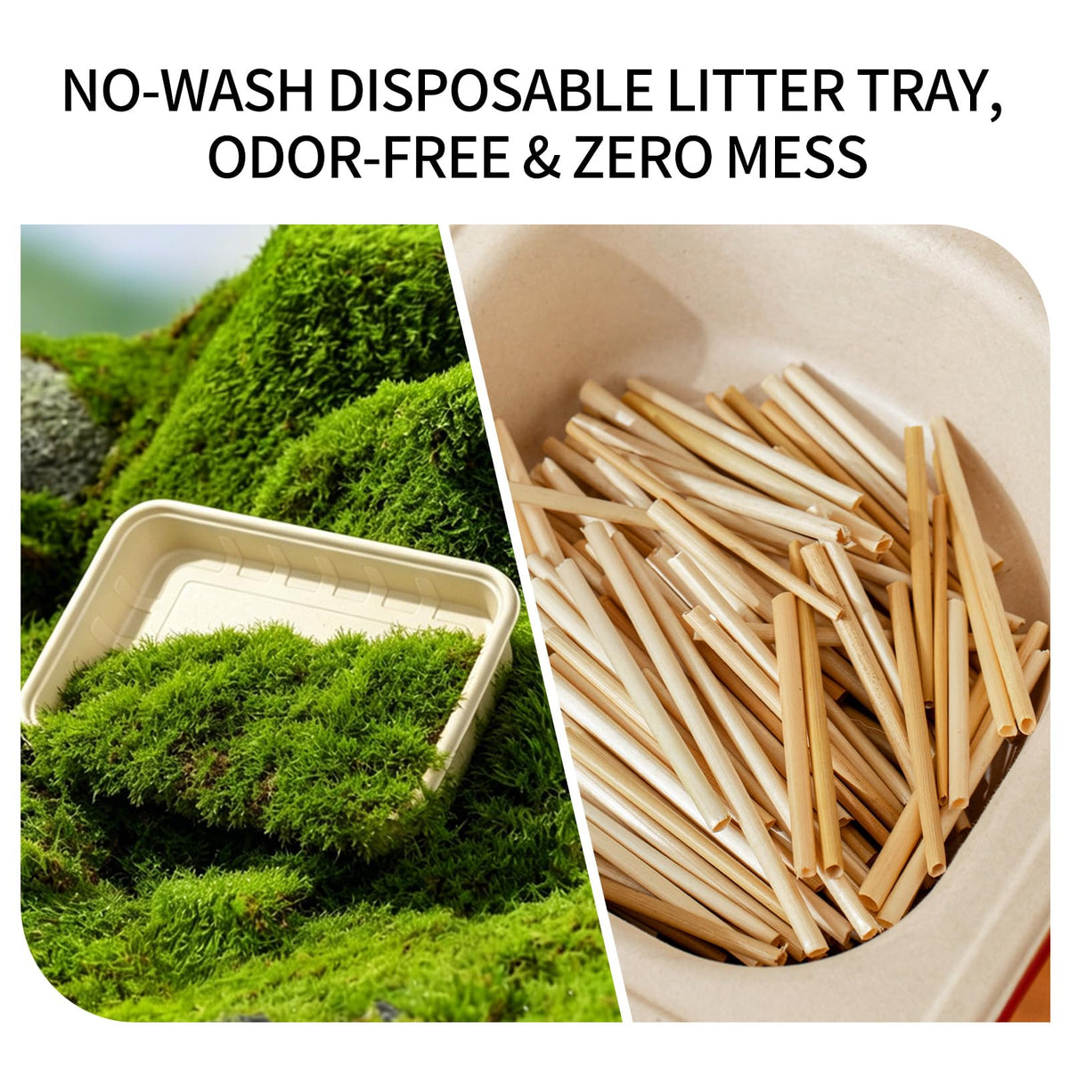 1+5 Pack Disposable Litter Boxes for Cats C41923