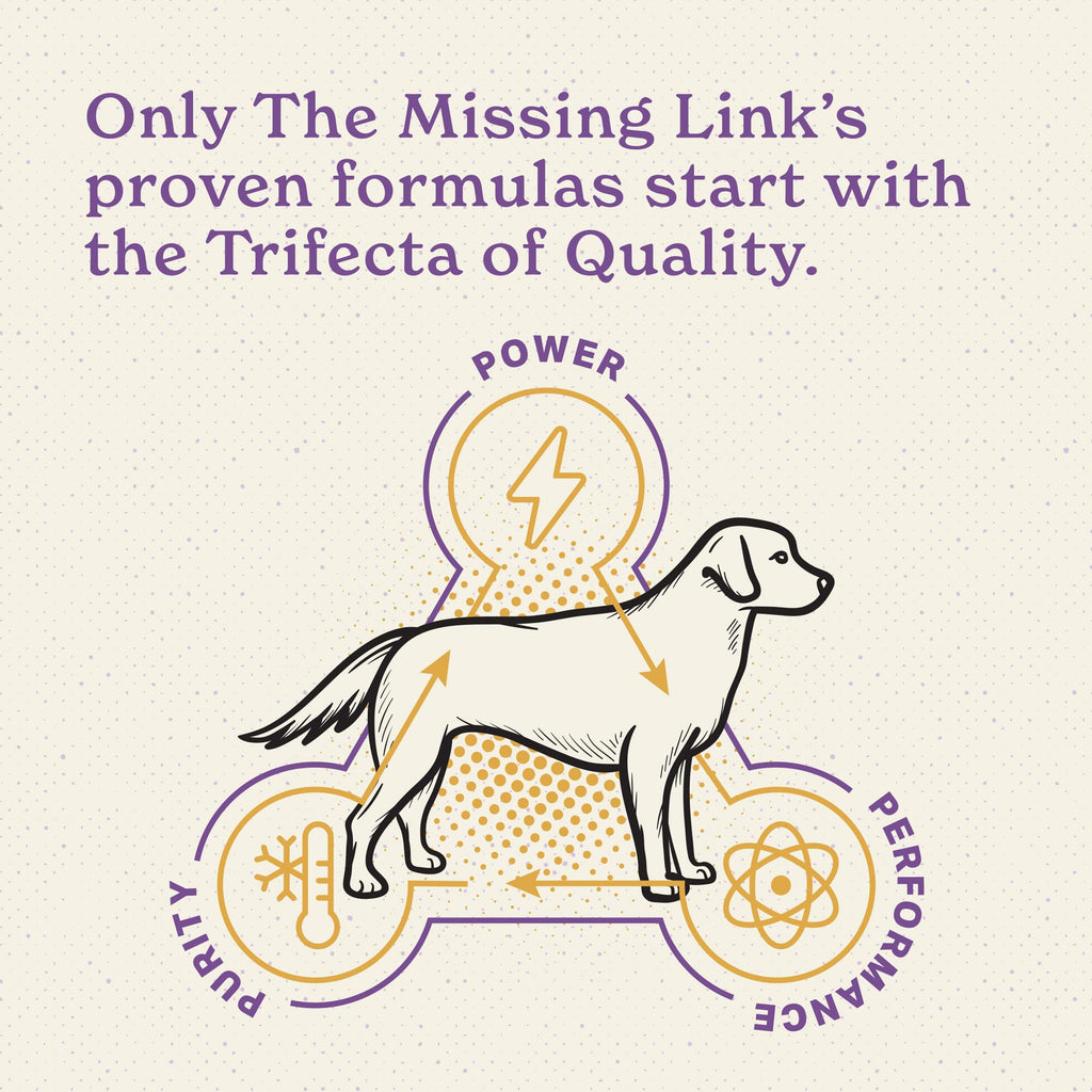 Senior Dog Supplement Powder 1lb Bag O738