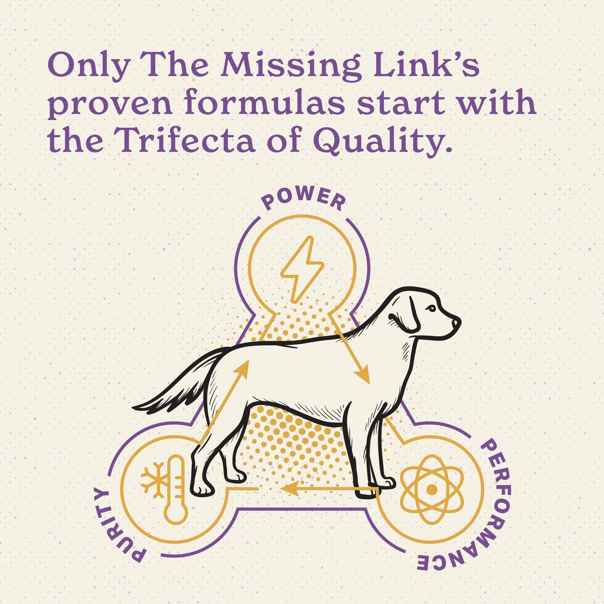 Senior Dog Supplement Powder 1lb Bag O738